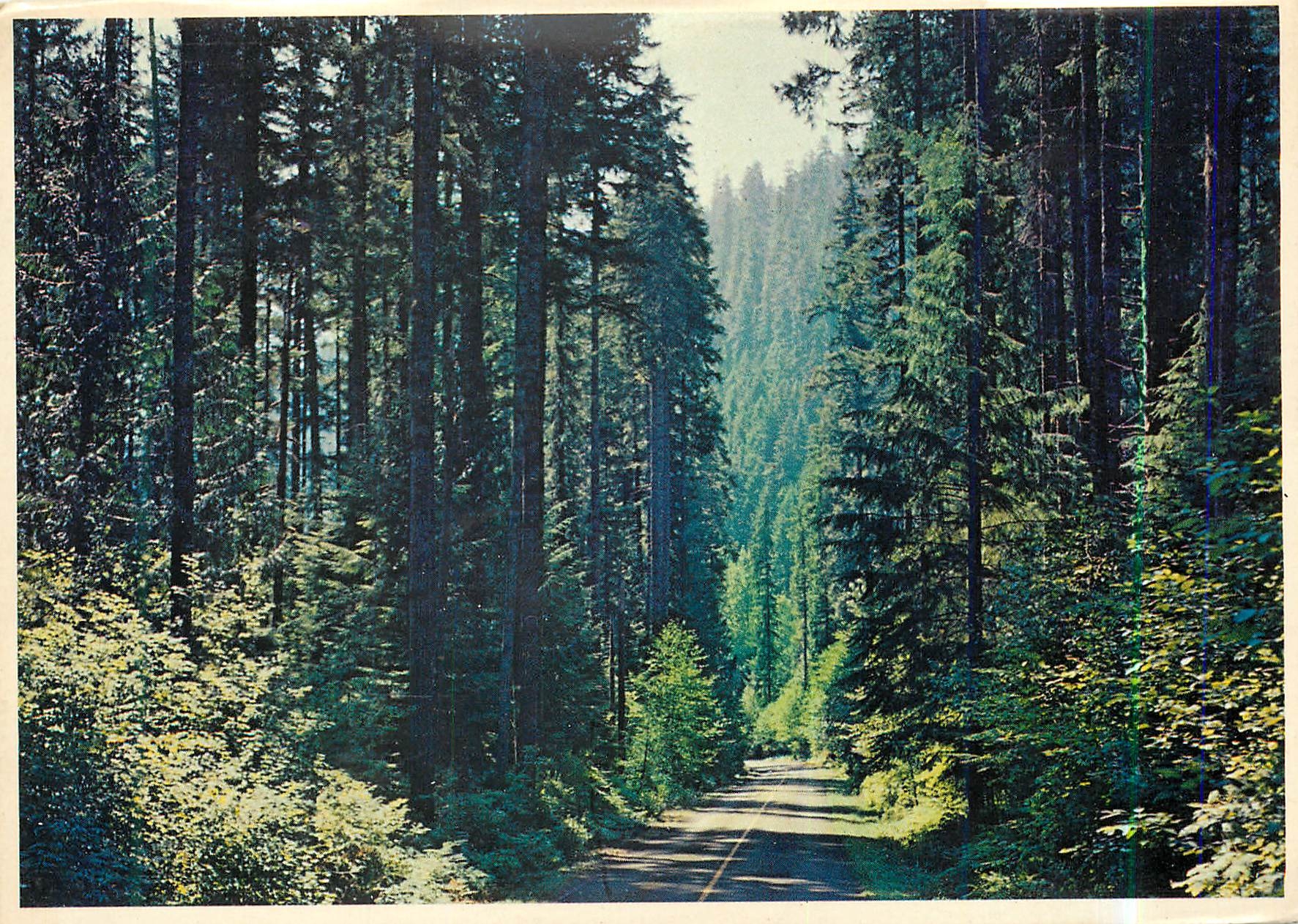 CPM Pacific Northwest The Fir lined Highways of Washington