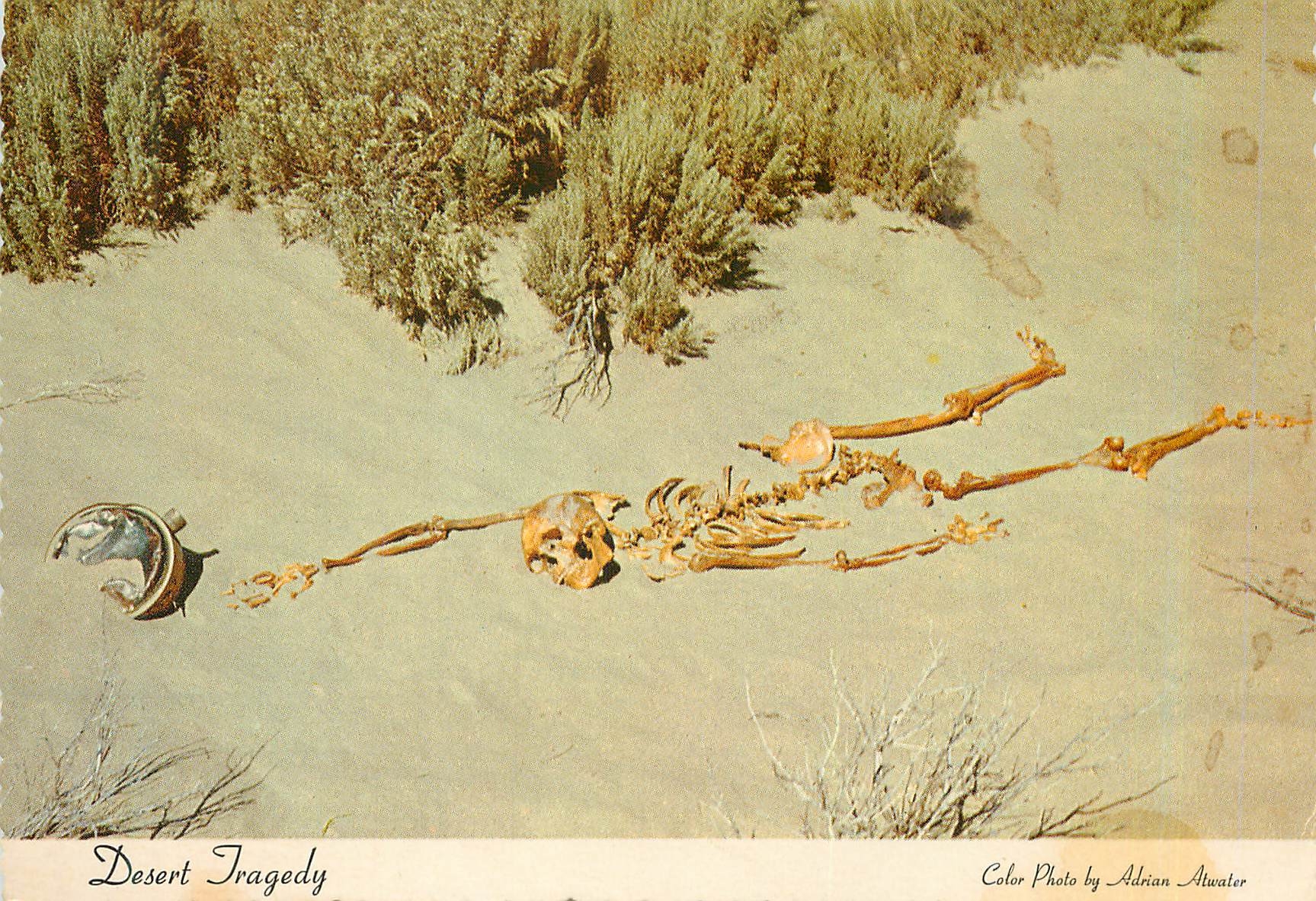 CPM Desert Tragedy Nevada