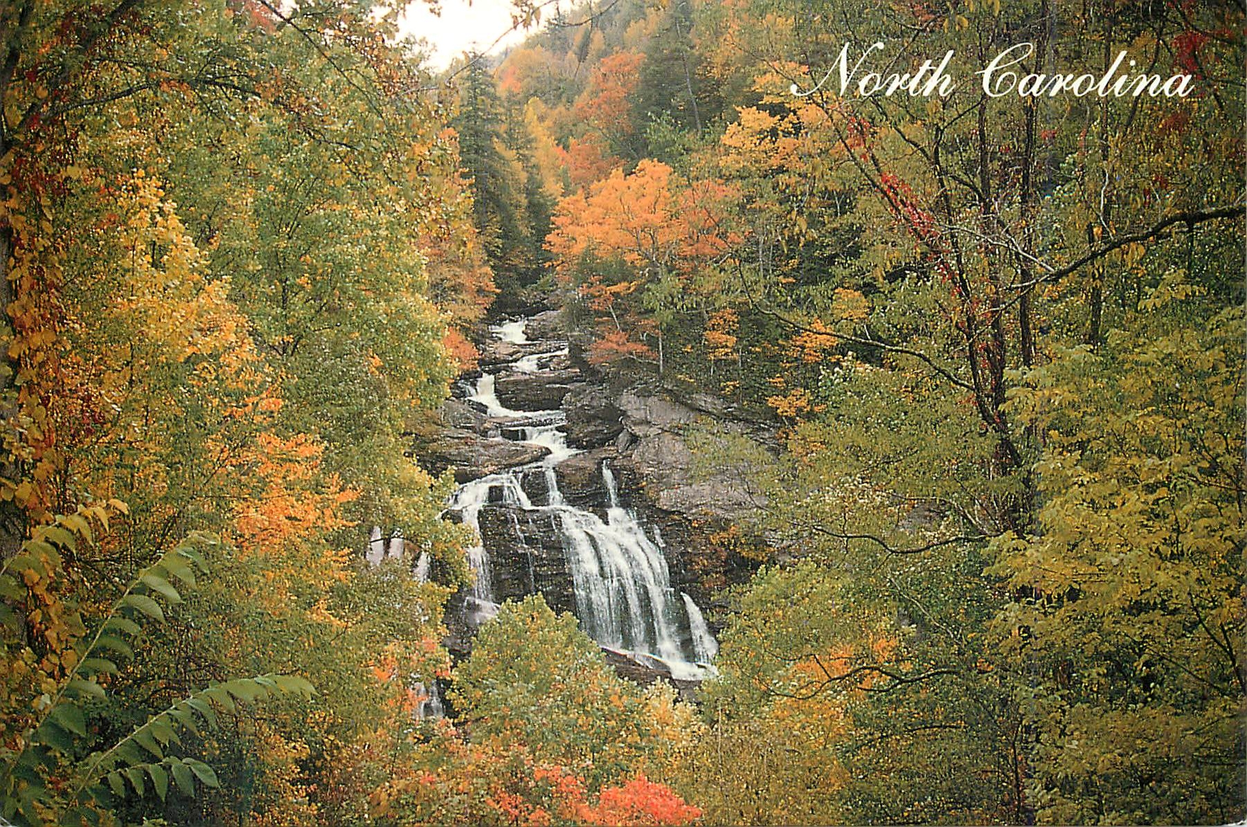 CPM North Carolina in the Nantahala National Forest