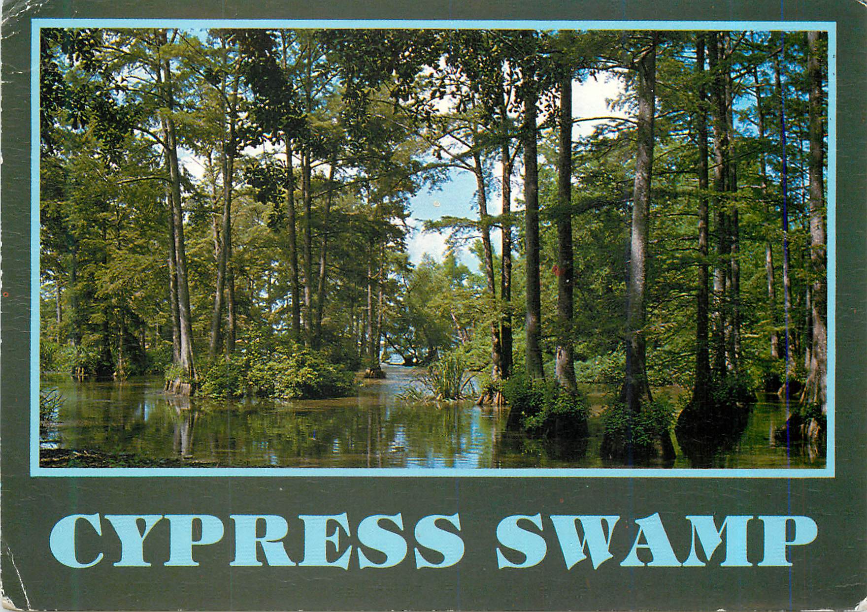 CPM Cypress Swamp