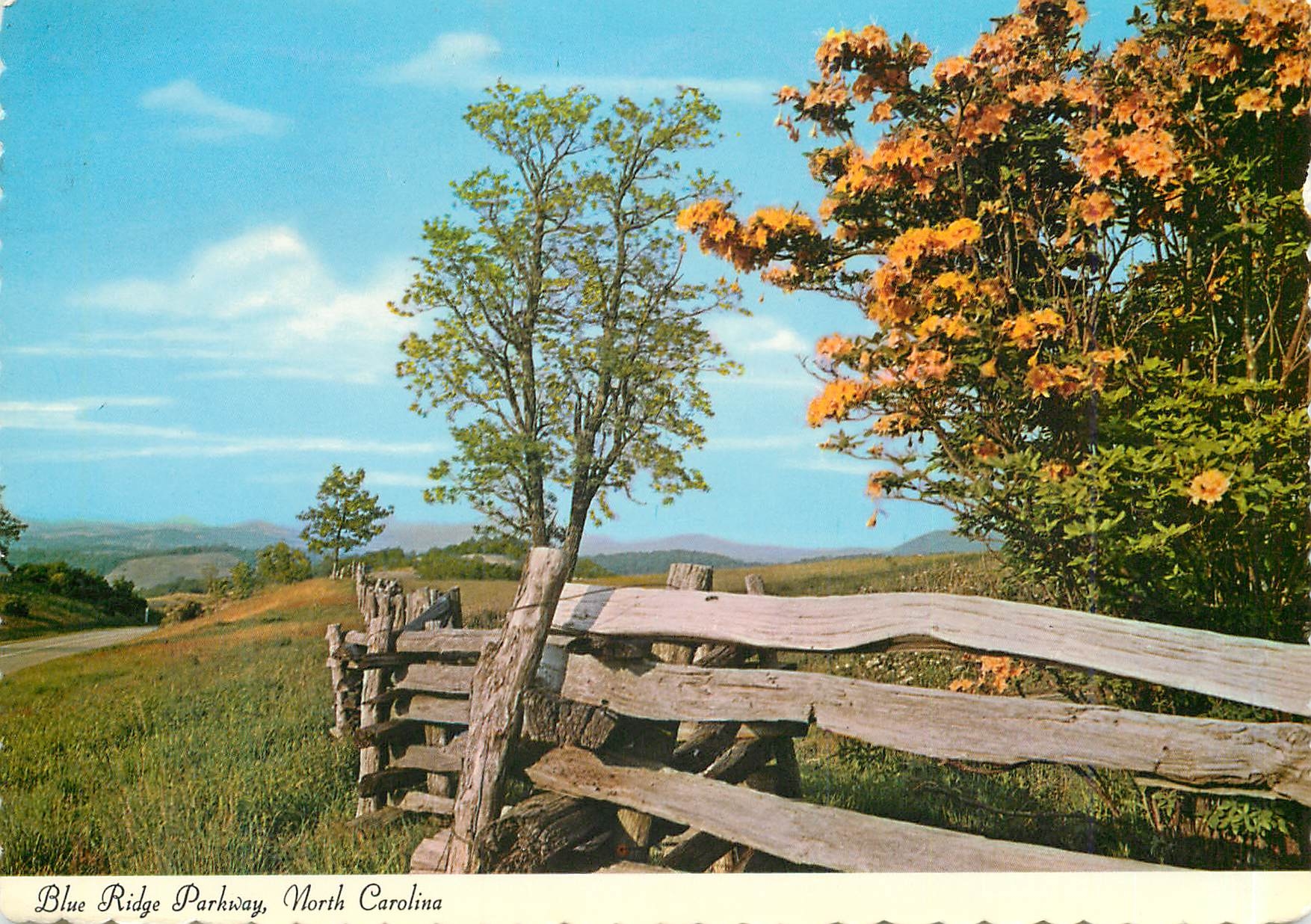 CPM Blue Ridge Parkway North Carolina