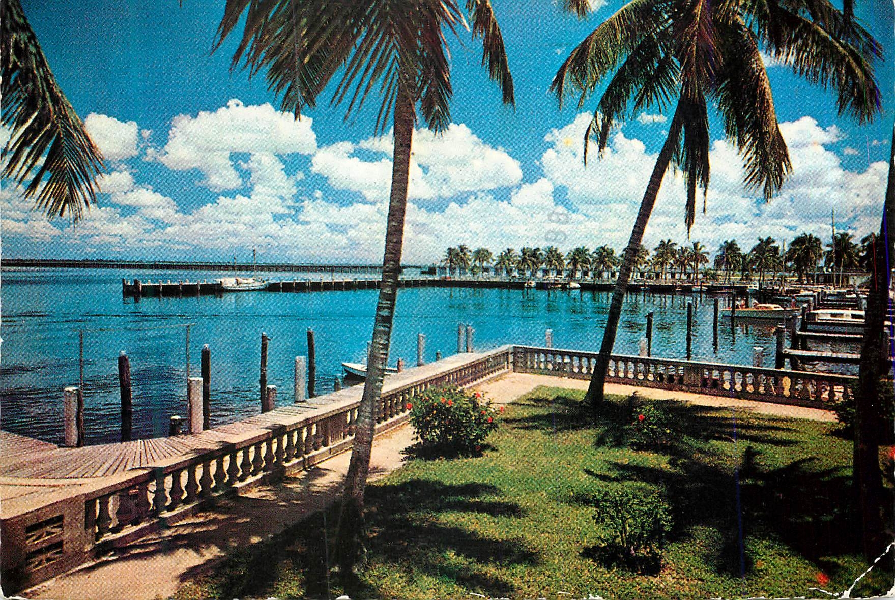 CPM Swaying Palms Beside the Beautiful Blue Water in Florida