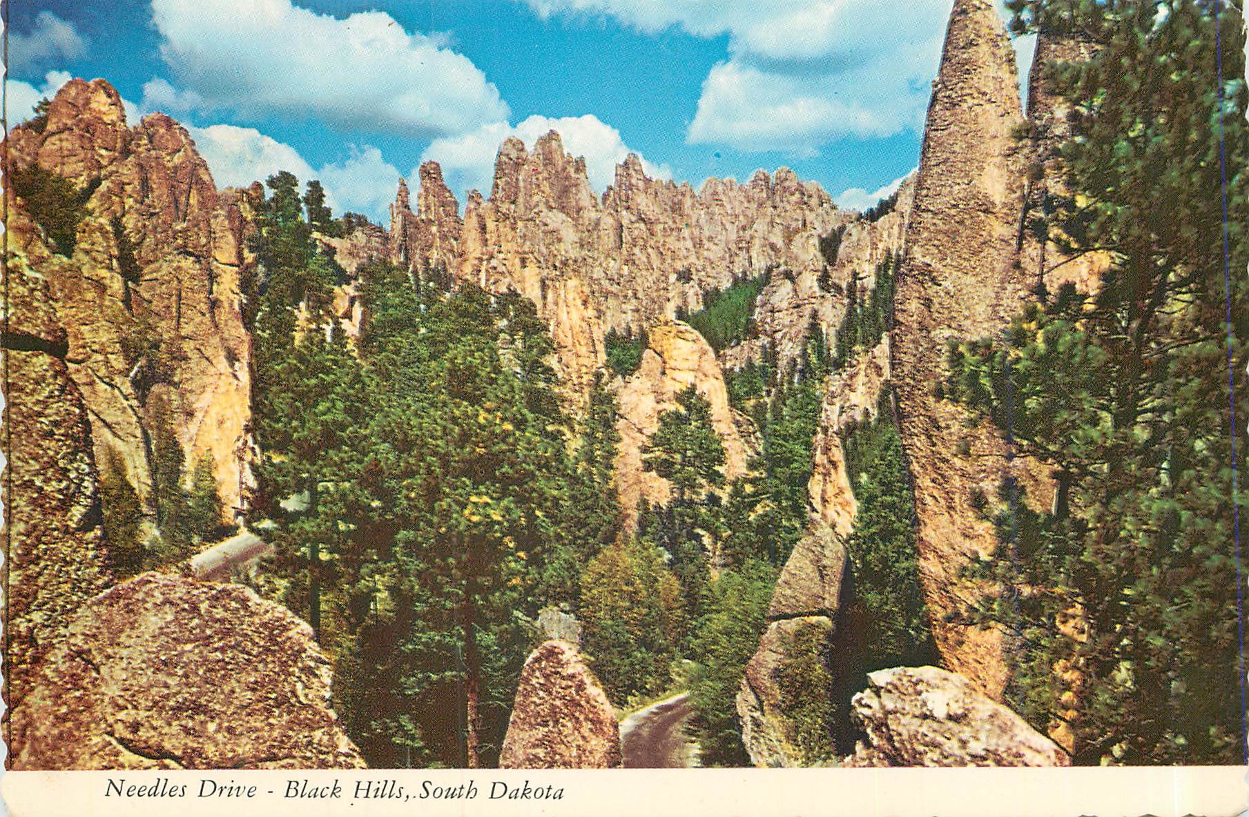 CPM Needles Drive Black Hills South Dakota