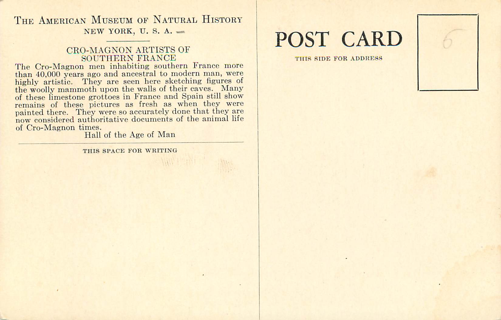 CPA The American Museum of Natural History New York Cro Magnon Artsts of Southern France — Verso