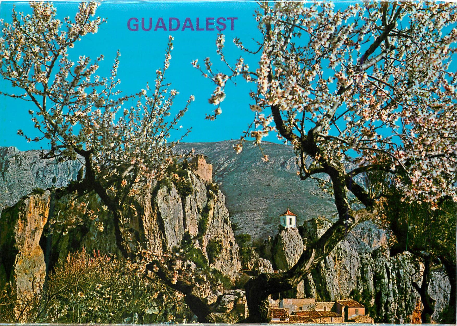 CPM Castel de Guadalest (Alicante) Amandier en Fleur