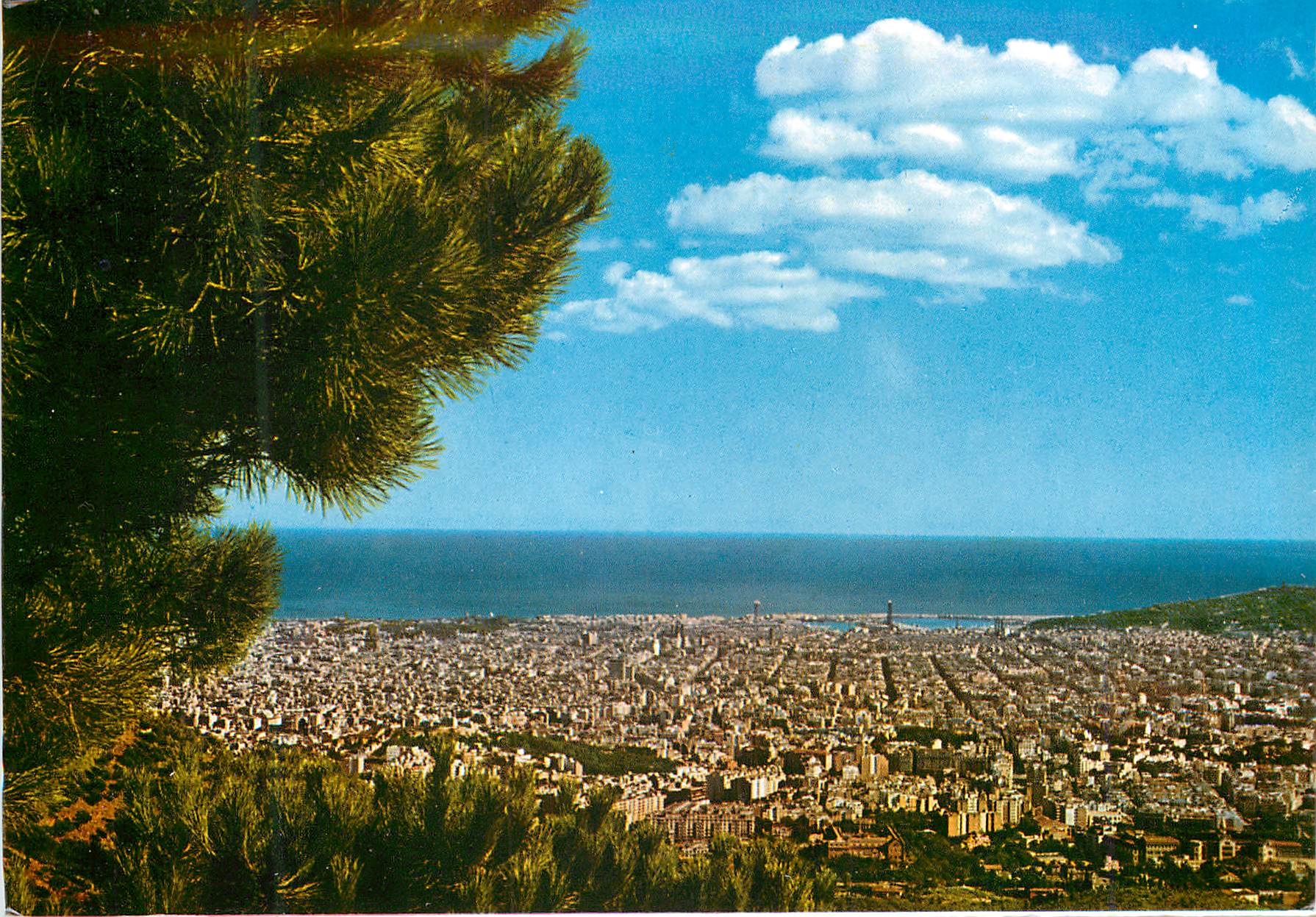 CPM Barcelona Vue de la Ville des le Tibidabo