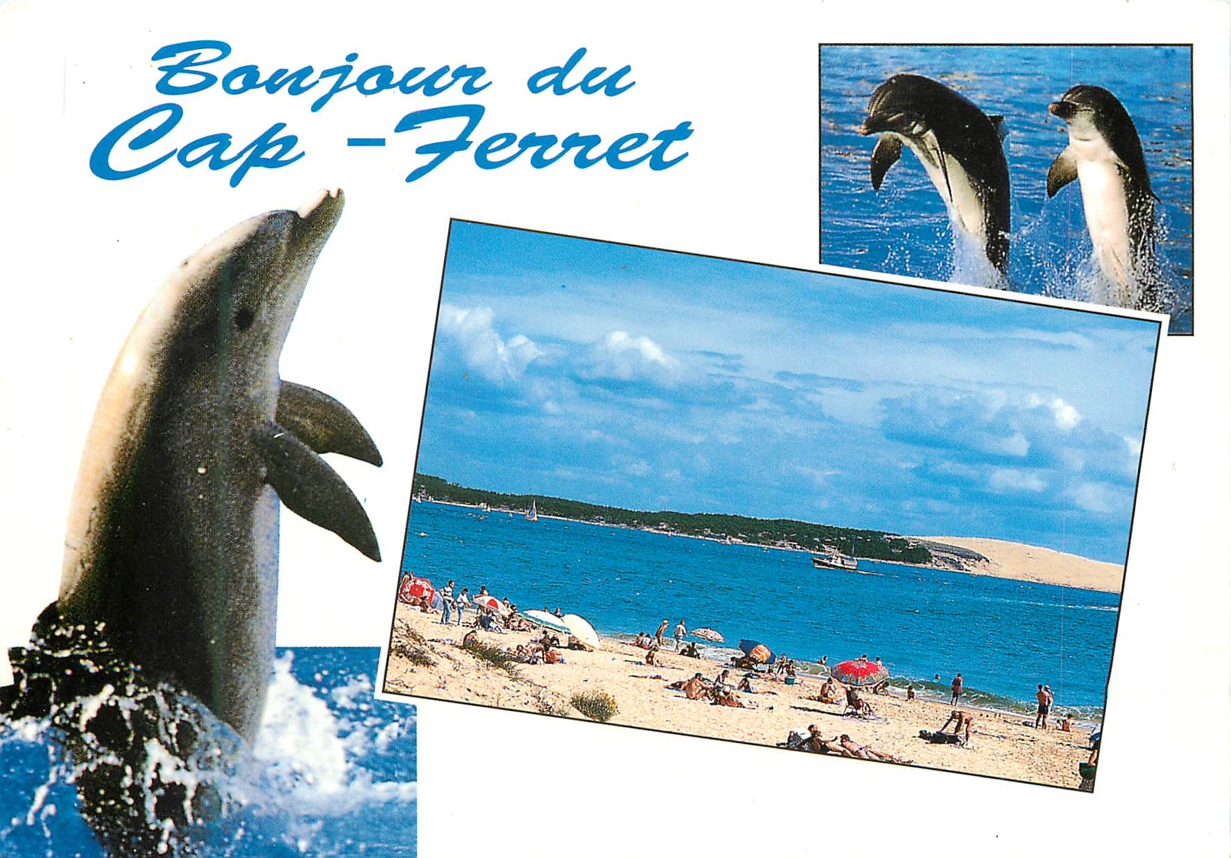 CPM Bonjour du Cap Ferret