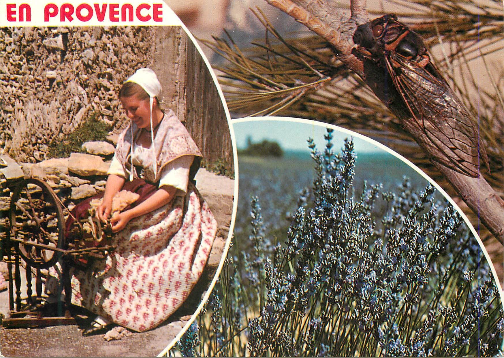 CPM En Provence Folklore