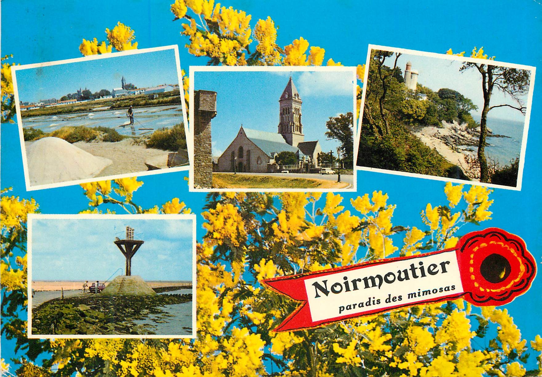 CPM La Vendee Pittoresque Ile de Noirmoutier Vue de l'Ile des Mimosas