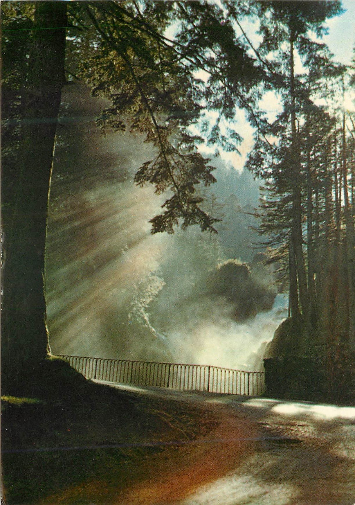 La Cascade du Cerisey — Pont d'Espagne — Hautes-Pyrénées — Photo d'ARTYR (Bareges, France) n°18