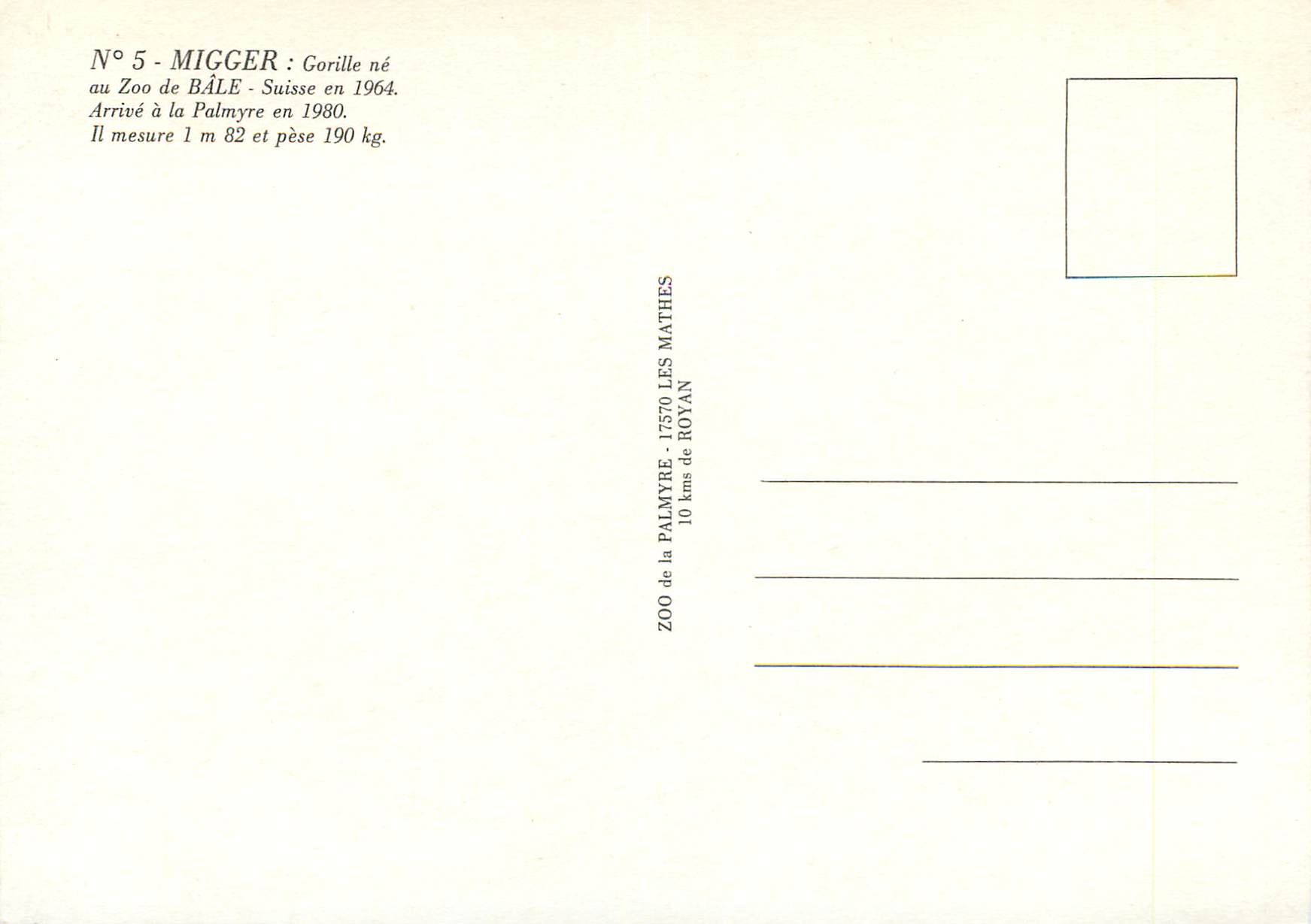 CPM Migger de Bale Suisse en 1964 Arrive a la Palmyre en 1980 Il Mesure 1 m 82 et Pese 190kg — Back