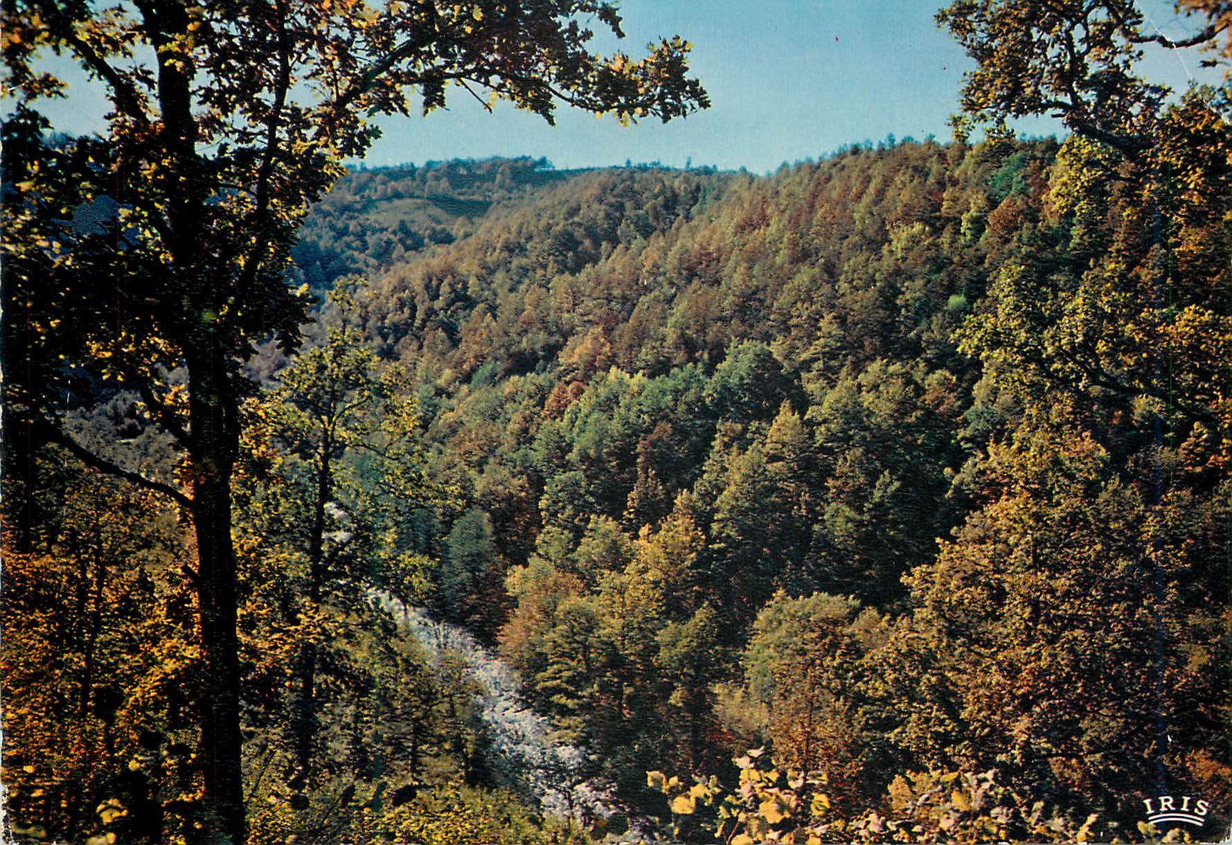 CPM Le Cantal Pittoresque les Gorges de la Cere en Automne