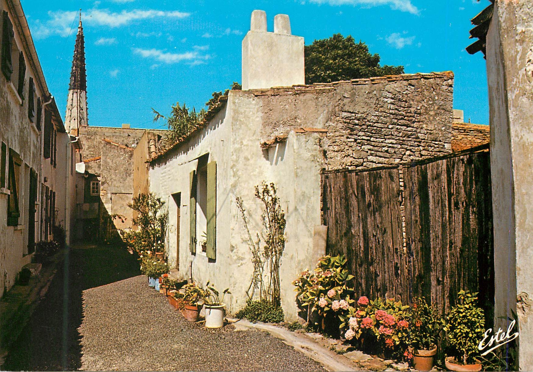 CPM La Cote Atlantique Ile de Re Ars en Re(Charente Maritime)Une Venelle Fleurie et le Clocher de l'Eglise Saint Etienne