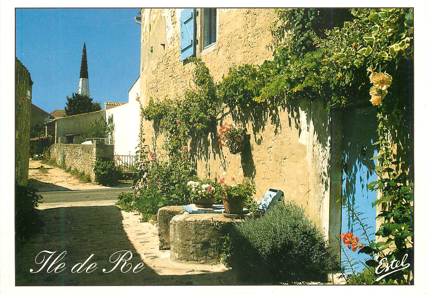 CPM Ile de Re Charente Maritime)la Cote Atlantique