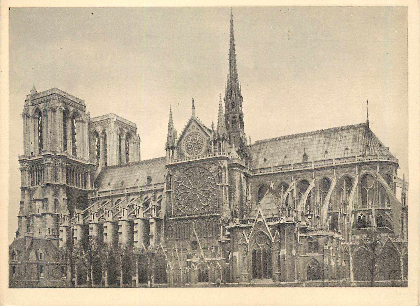 CPM Elevation exterieure facade sud du transept sud font des querschiffs