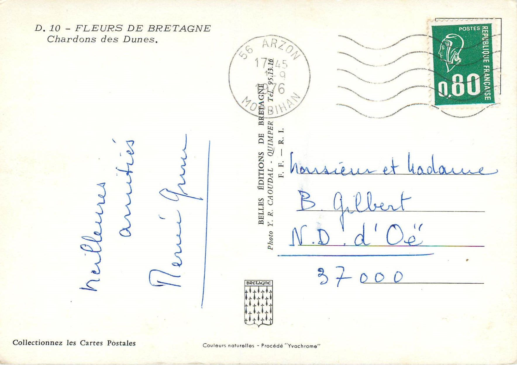 CPM Fleurs de bretagne chardons des duness — Verso