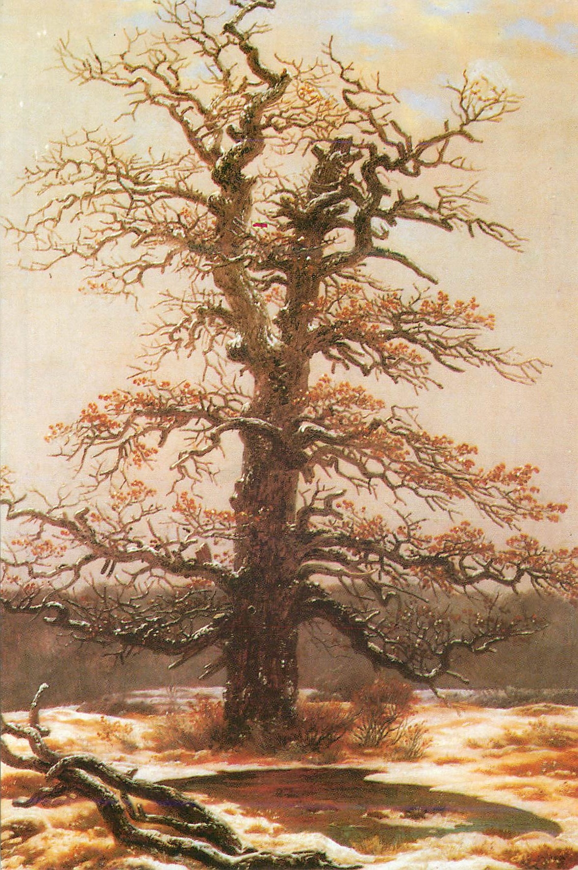 CPM Casper david friedrich 1774 1840 chene sous la neige 1810 12 cologne wallraf richartz museum