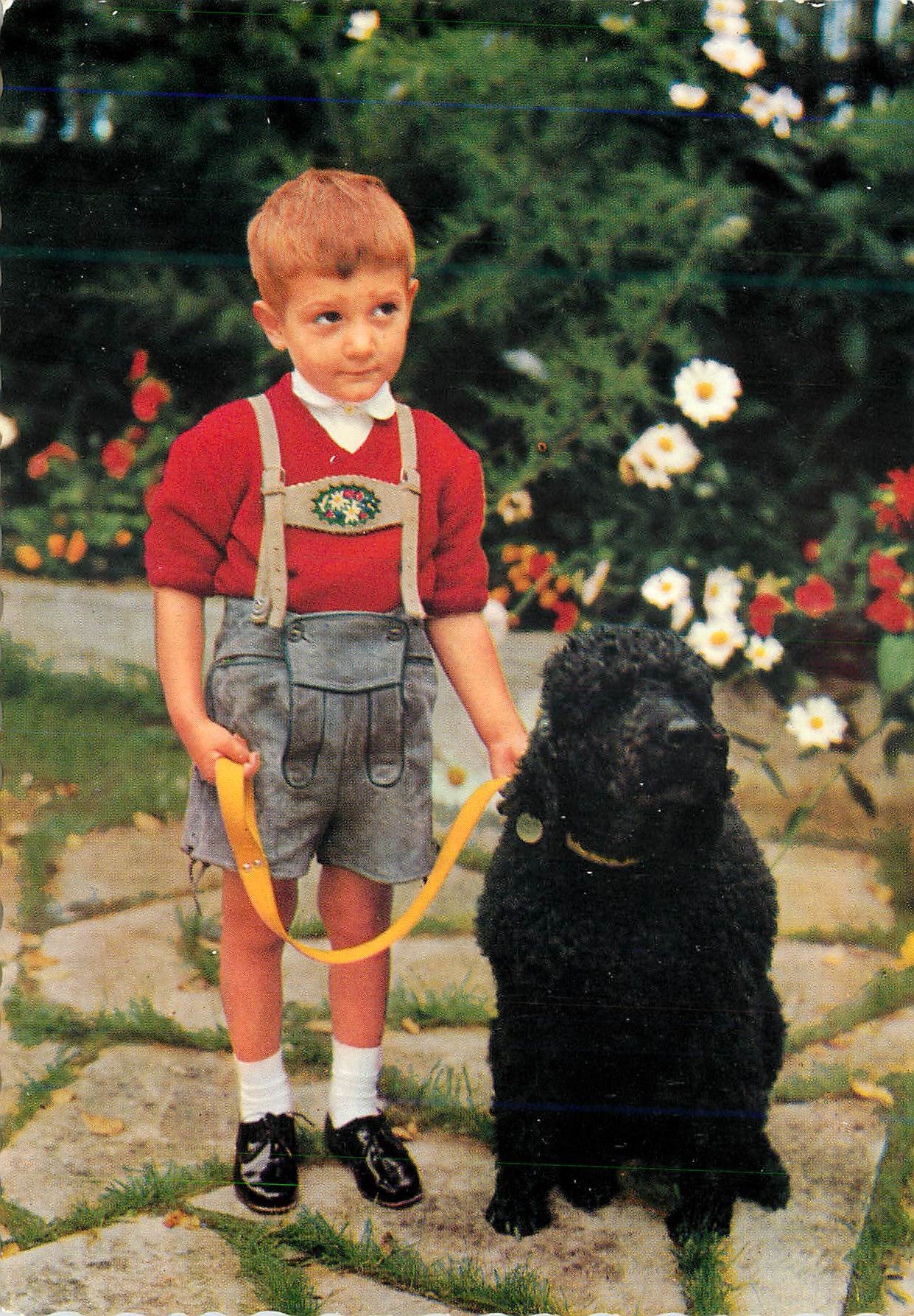 CPM Une chaumiere 2 cœurs Enfant Chien