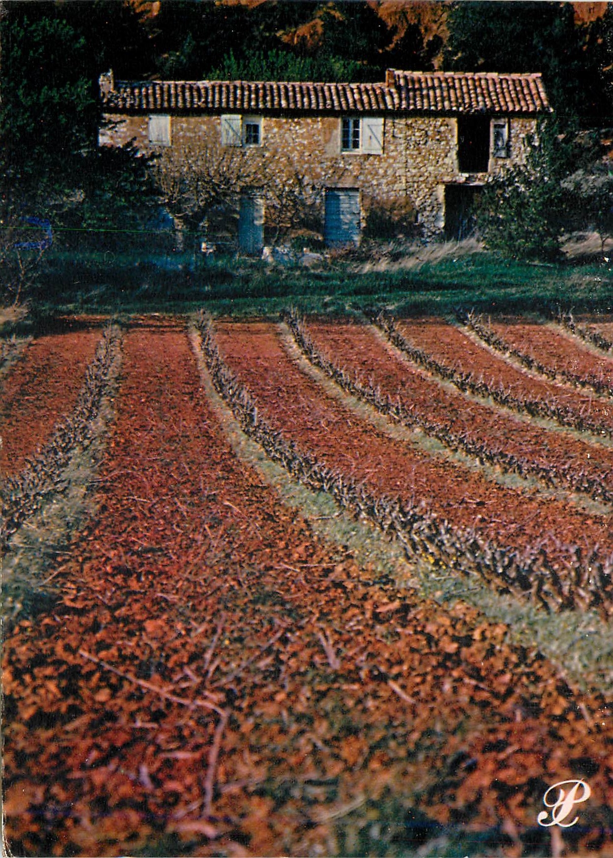 CPM Prestige provence