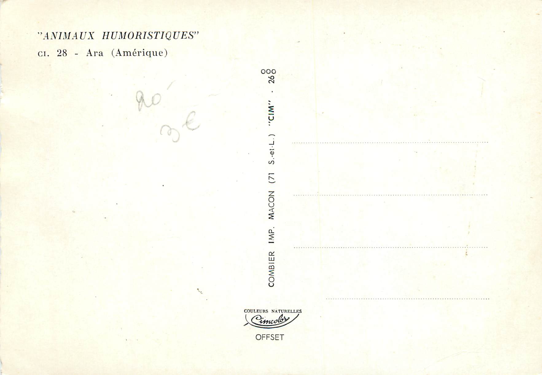 CPM Animaux humoristiques ara (amerique) Perroquet — Rückseite