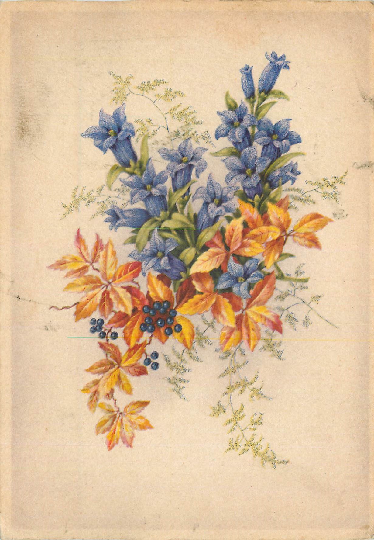 CPM Fleurs