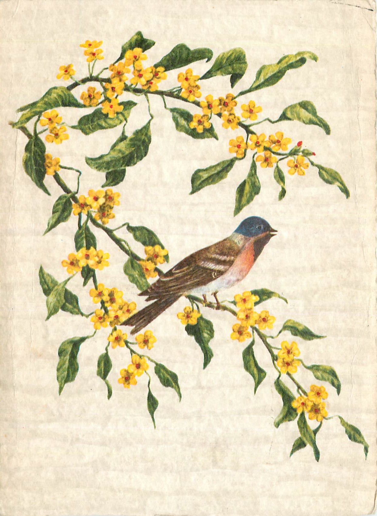 CPM Fleurs Oiseau