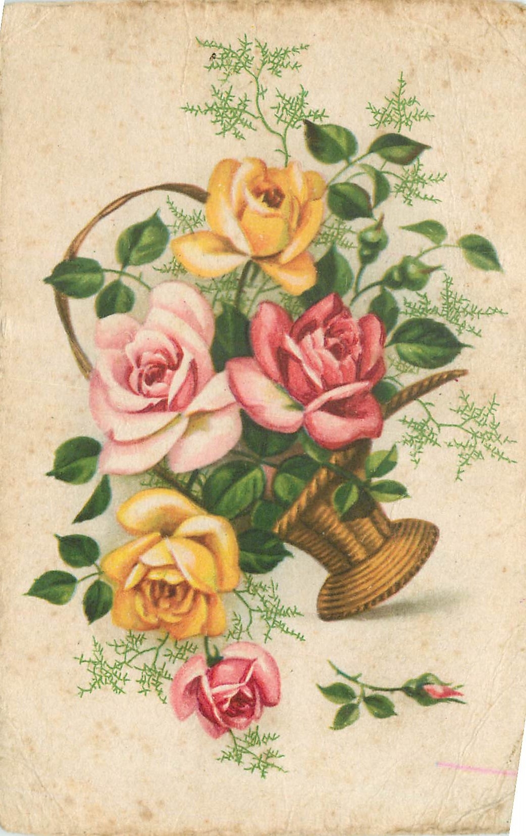 CPA Fleurs