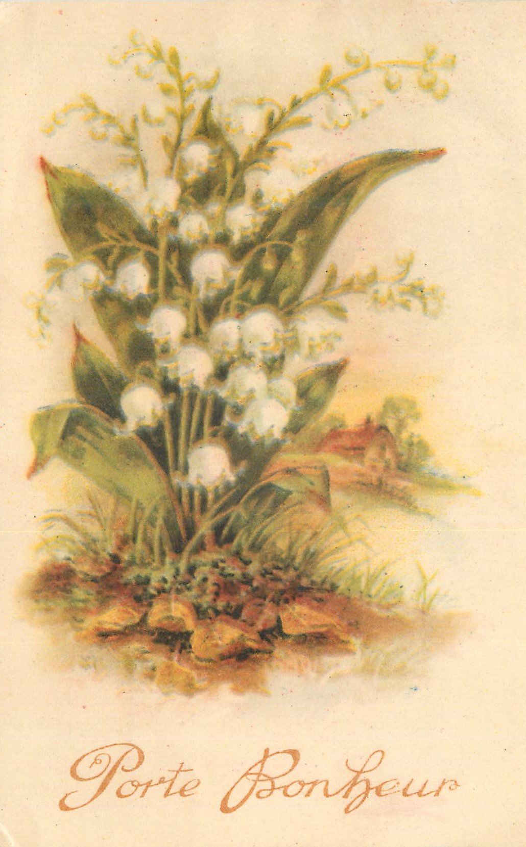 CPA Porte bonheur Muguet