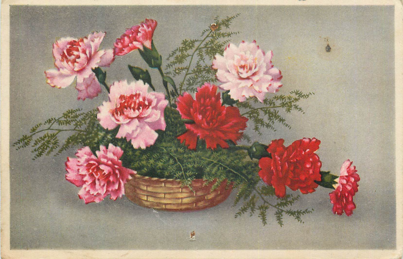 CPA Fleurs