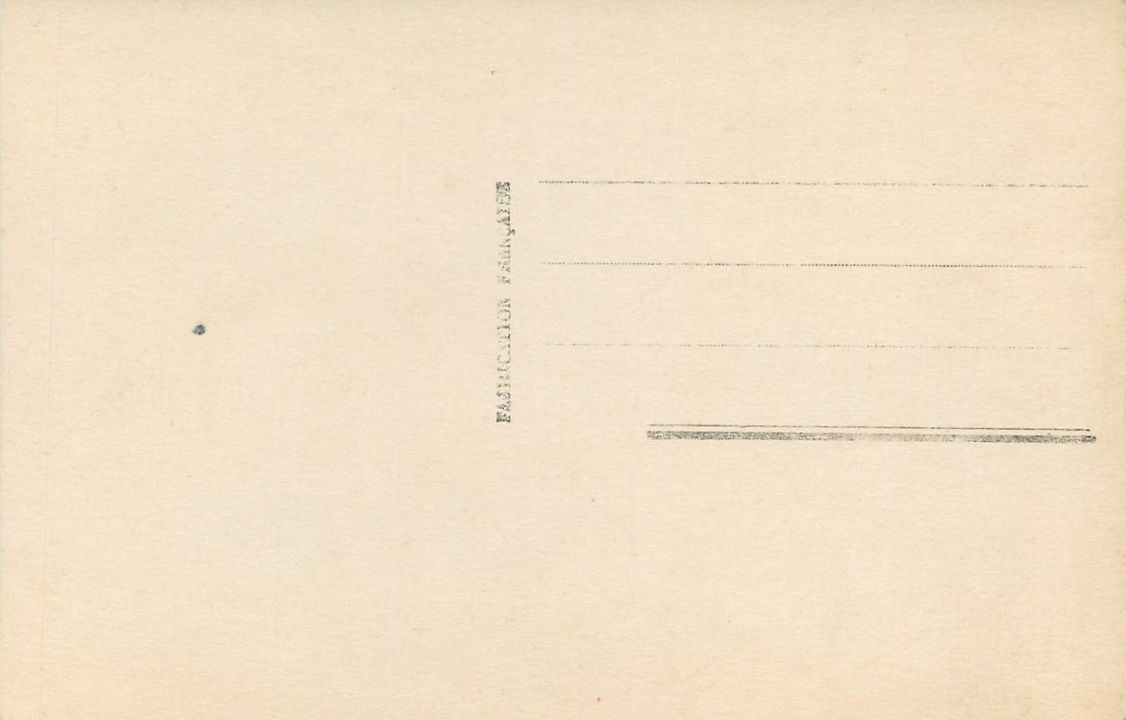 CPA Fleurs — Verso