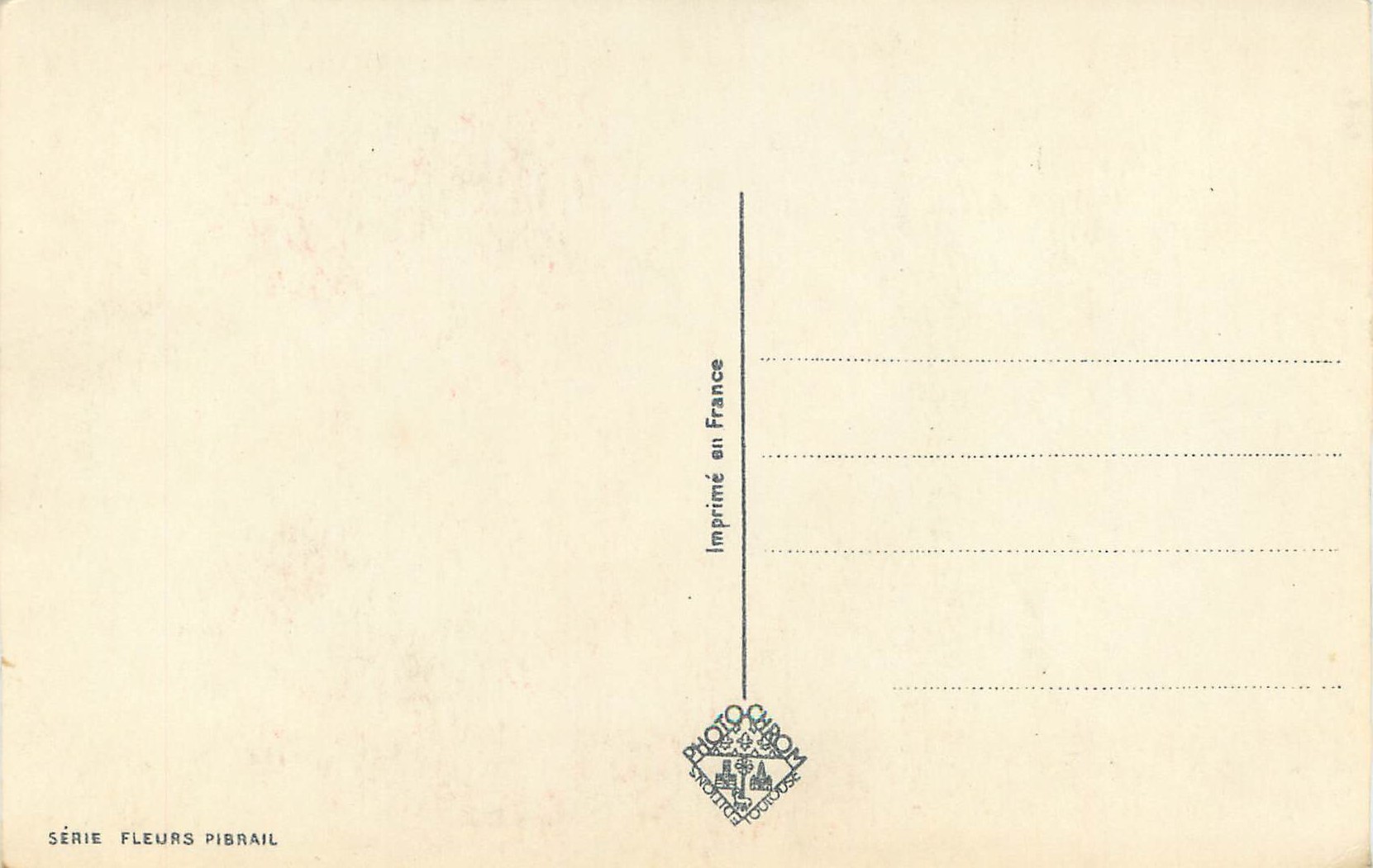 CPM Fleurs pibrail — Back