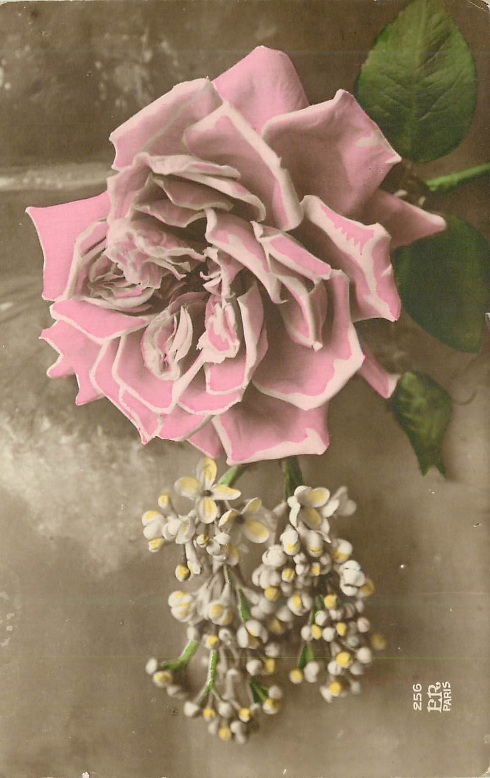CPA Fleurs