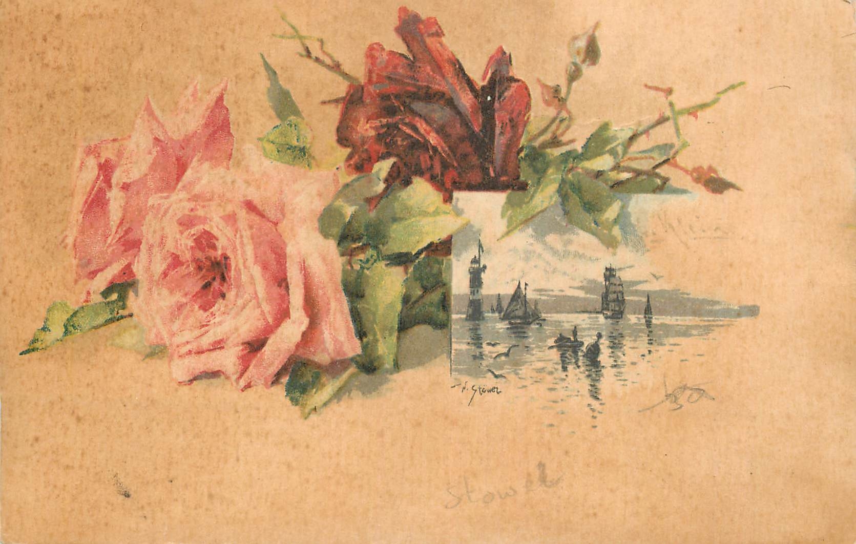 CPA Fleurs