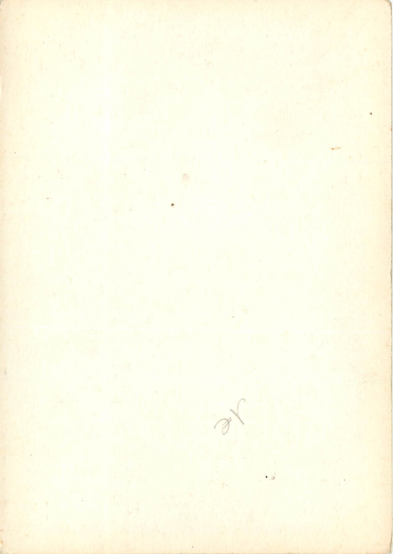 CPM Fleurs — Back