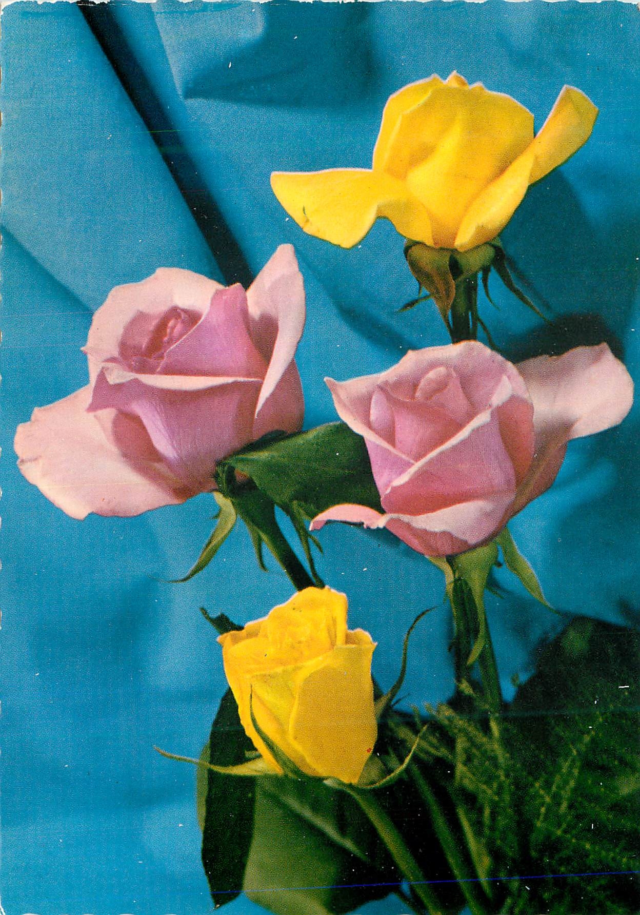 CPM Fleurs