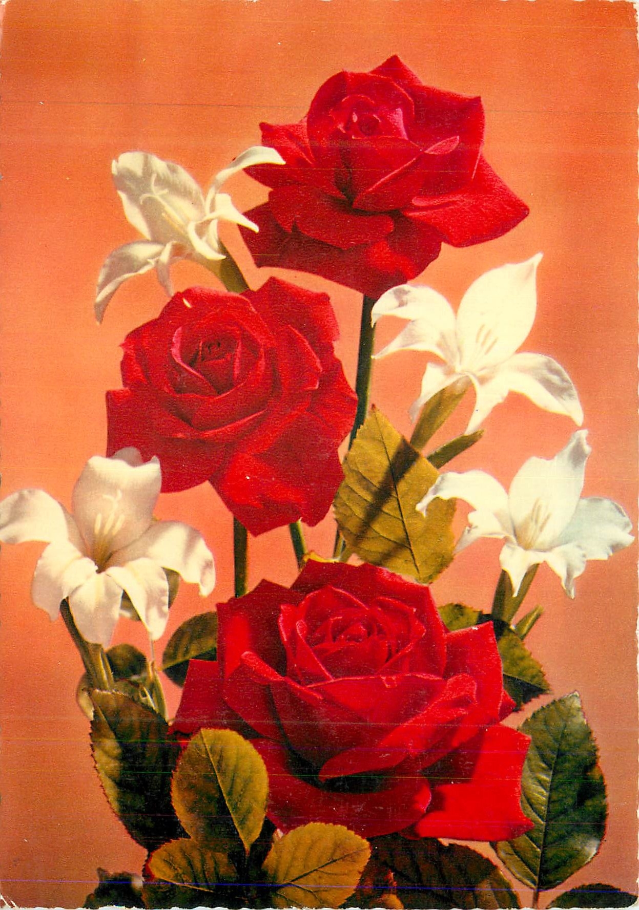 CPM Fleurs