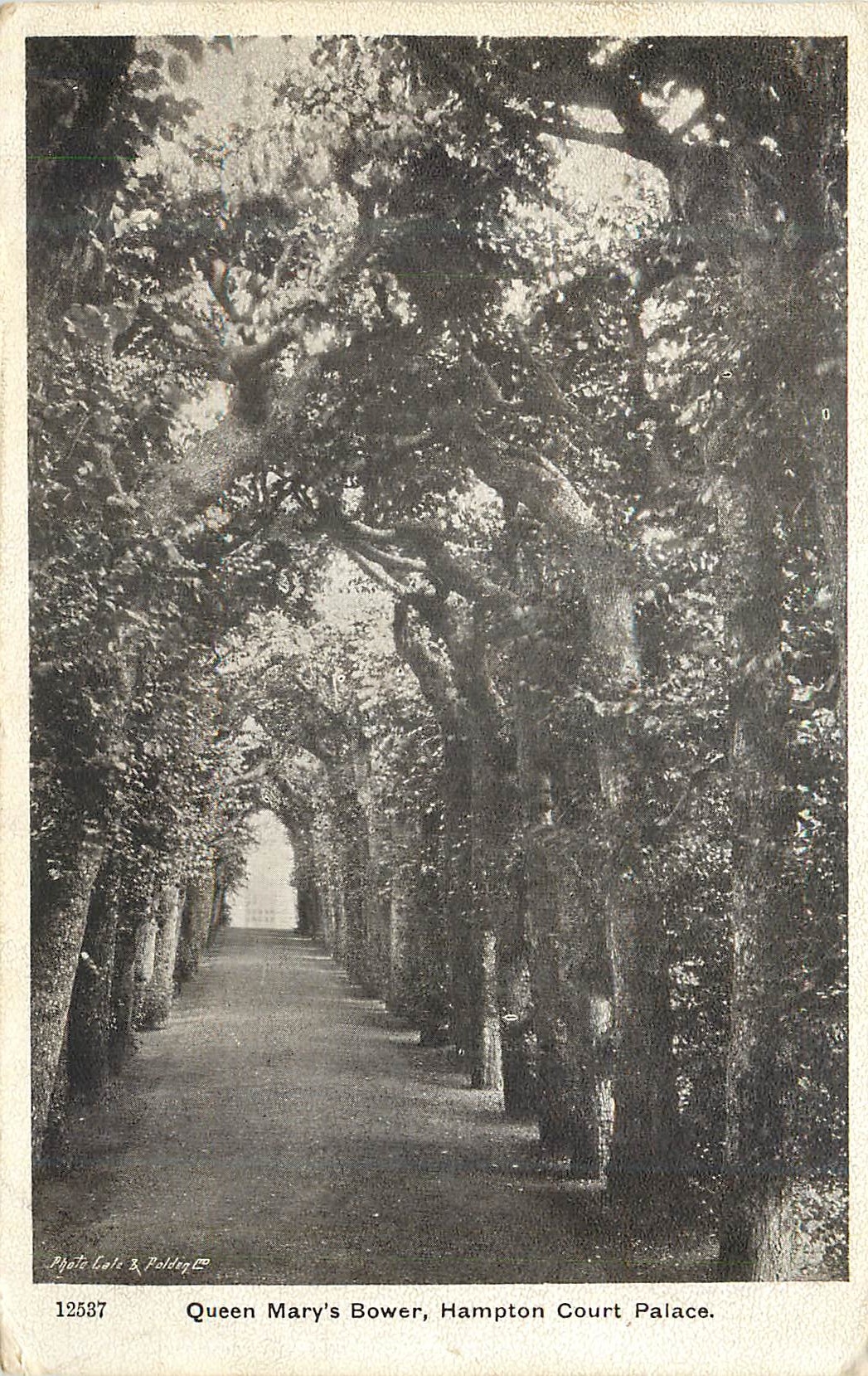 CPA Qeen mary's bower hampton court palace