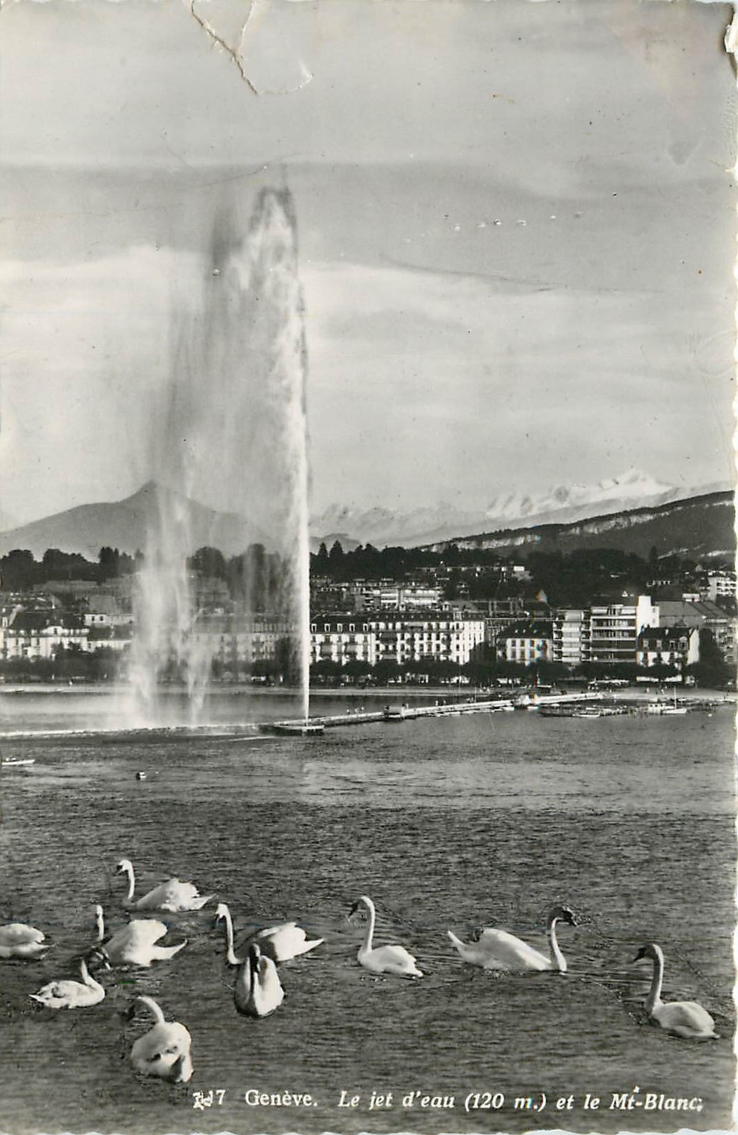 CPM Geneve le jet d'eau (120 m) et le mt blanc