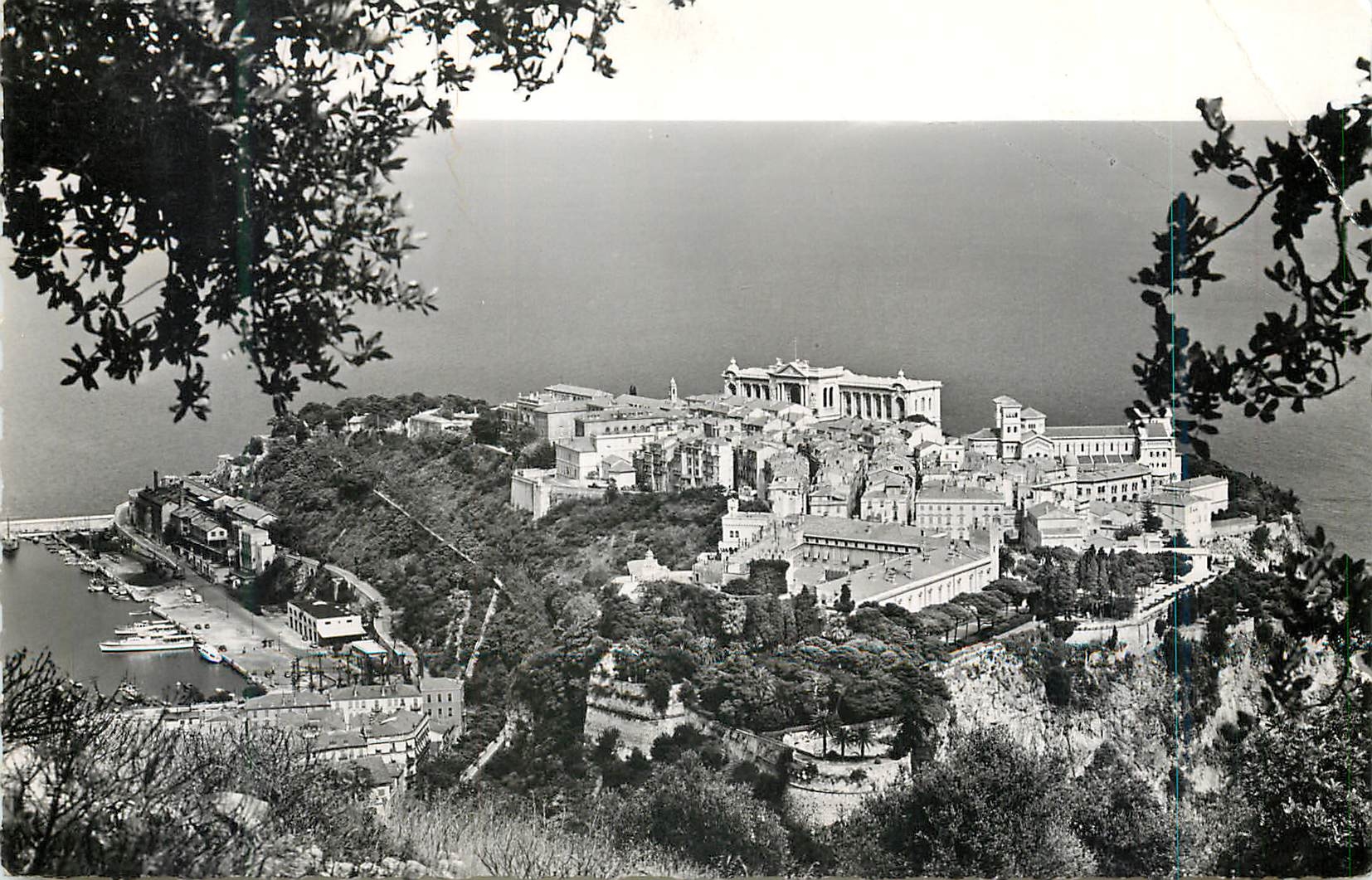 CPM Monaco vue sur le rocher et le port de monaco