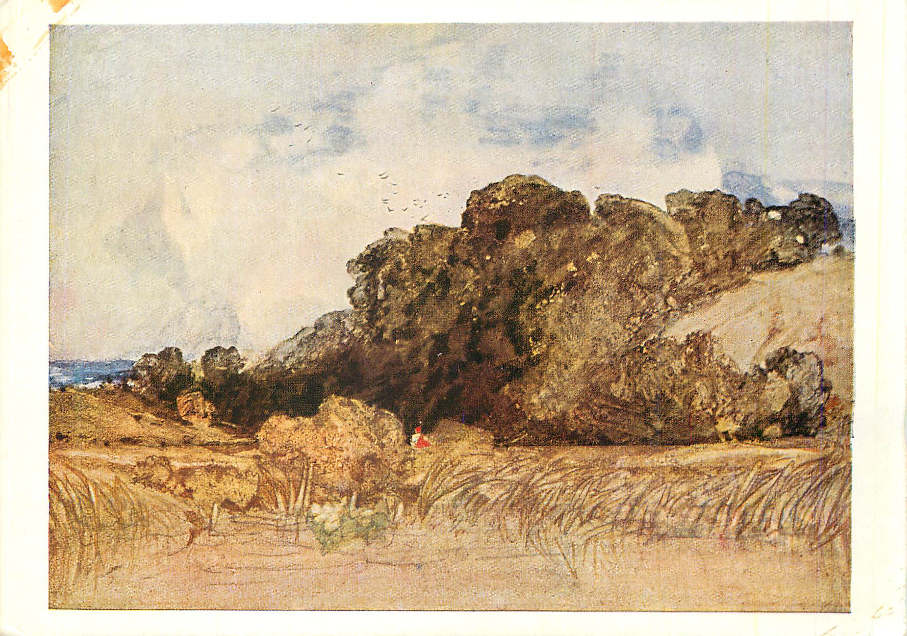 CPM British museum john sell cotman (1752 1842) postwick grove water colour