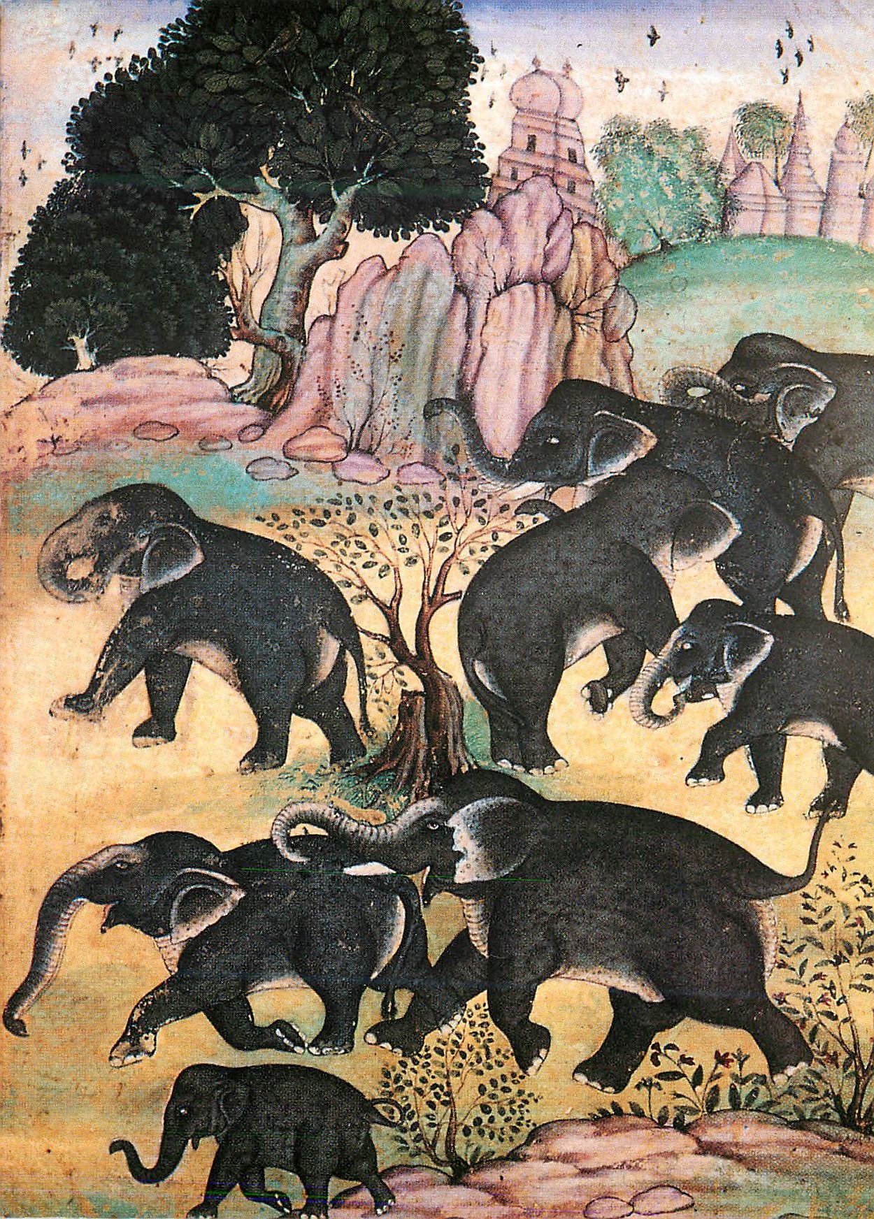 CPM Elephants s'ebattant ecole moghole veres 1630