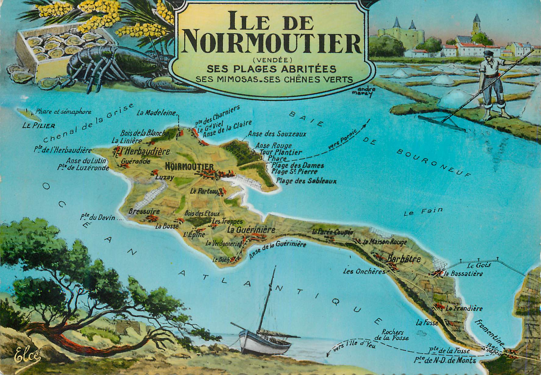 CPM Ile de noirmoutier (Vendee) ses plages abritees ses mimoses ses chenes verts