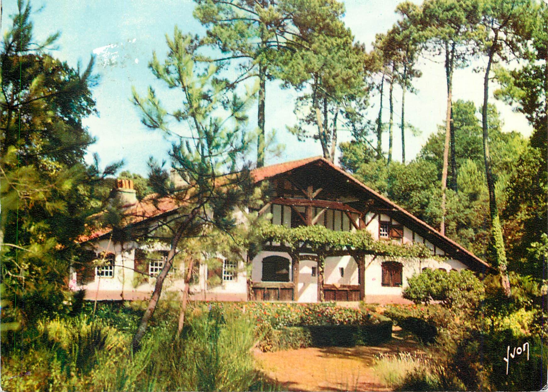 CPM Couleurs et lumiere de france villa landaise dans la foret de pins