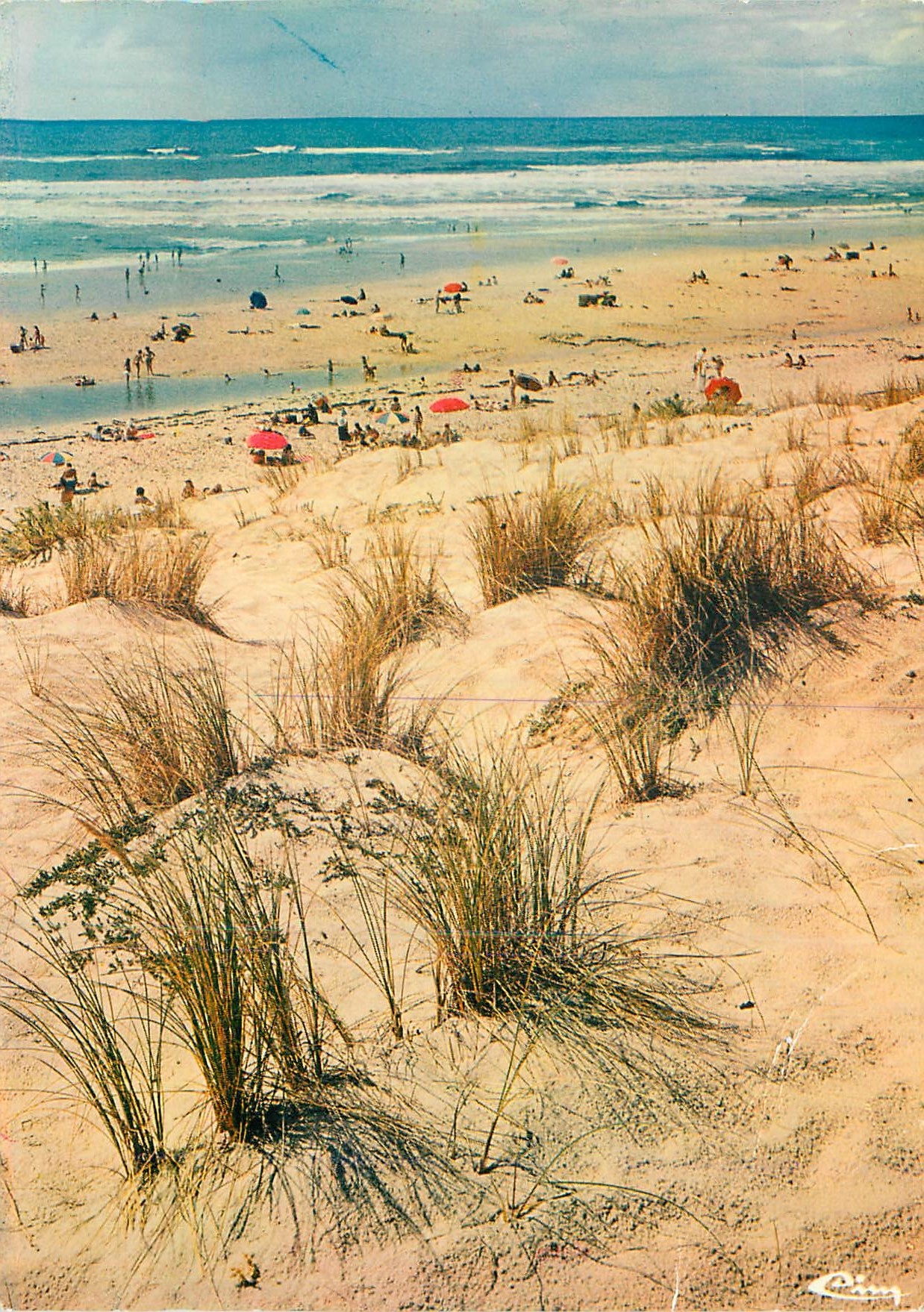 CPM Paysage landais plage au bord de l'ocean