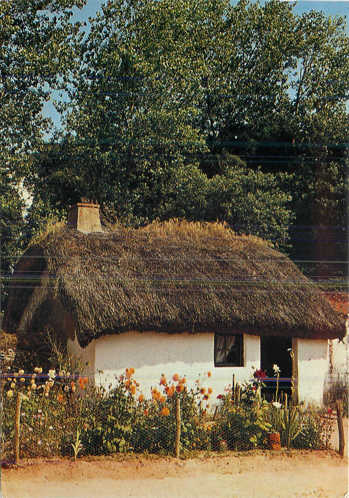 CPM Au Pays De Monts Bourrine Vendeenne