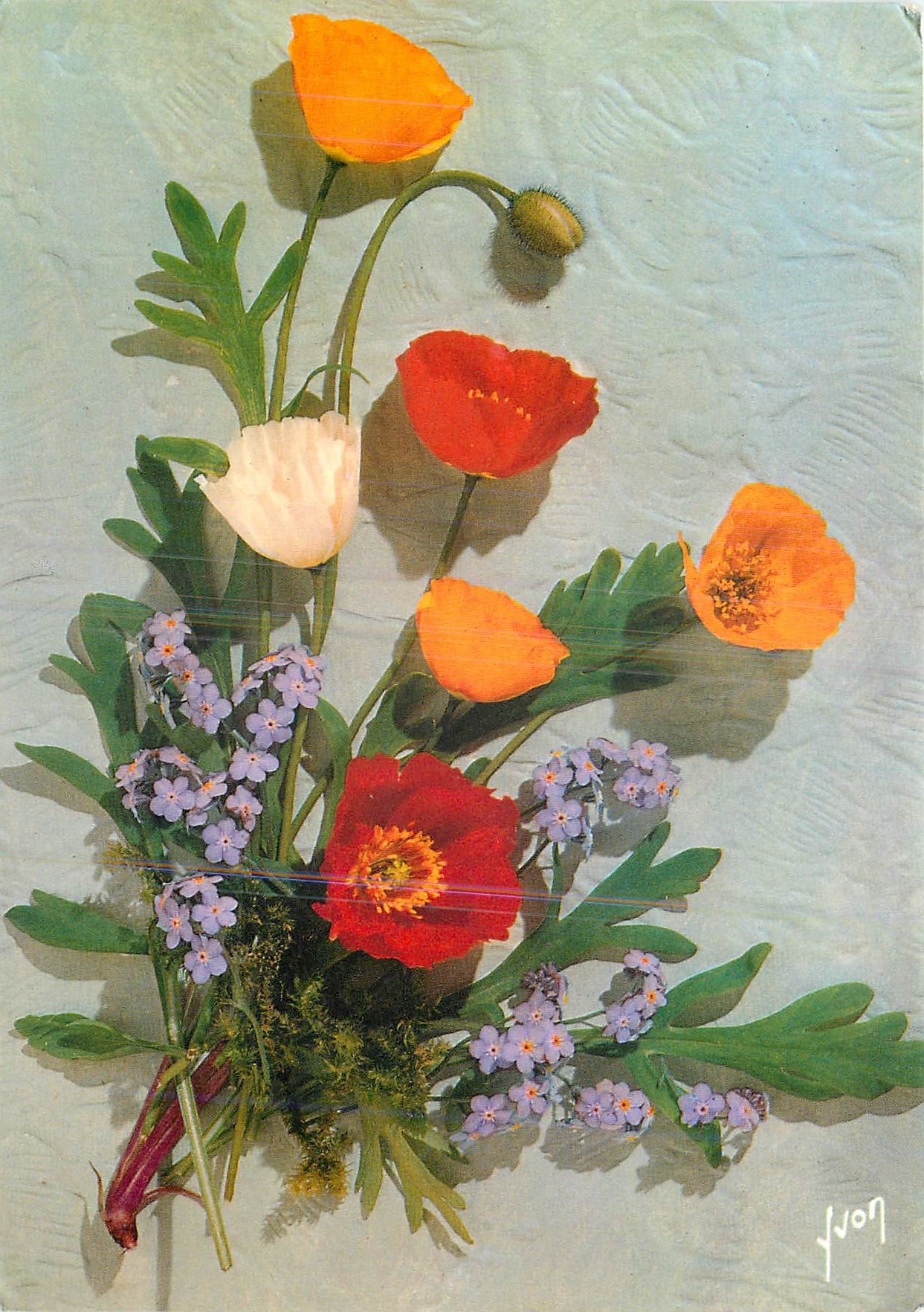 CPM Jolies Fleurs de France