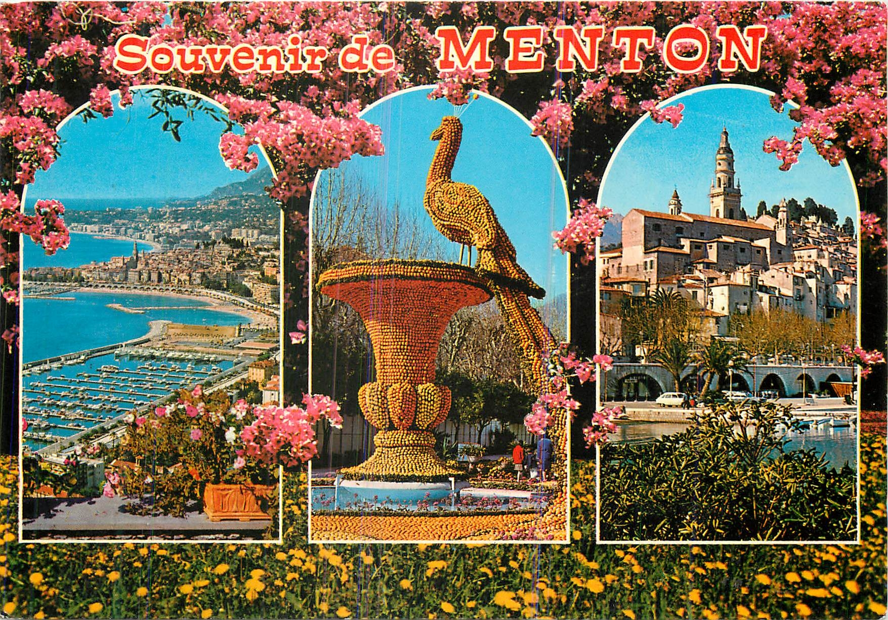 CPM Souvenir de Menton (Alpes Maritimes) Citrons