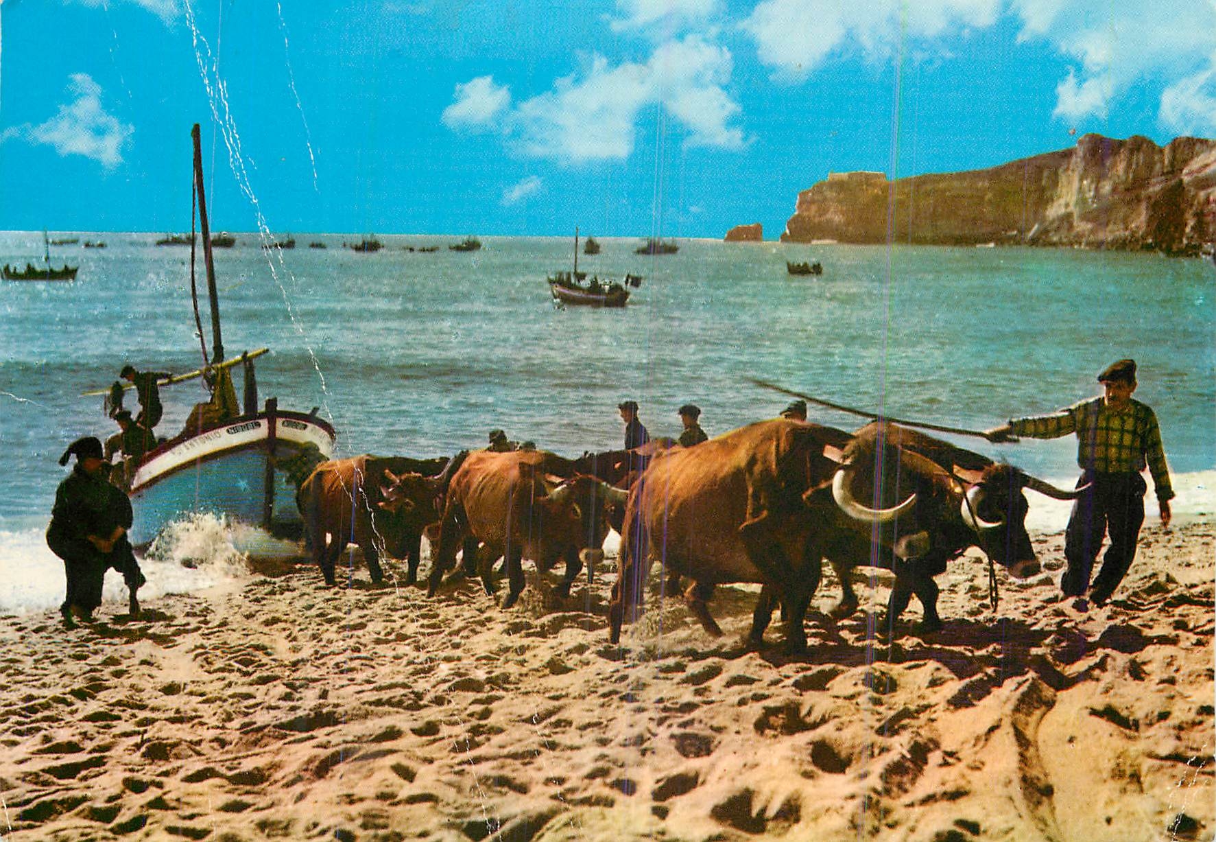 CPM Nazare (Portugal) La traine des bateaux Attelage