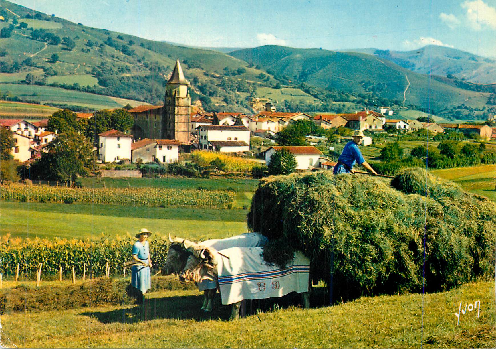 CPM Le Pays Basque Ainhoa (Pyrenees Atlantiques) Village type du Pays Basque Attelage Bœufs