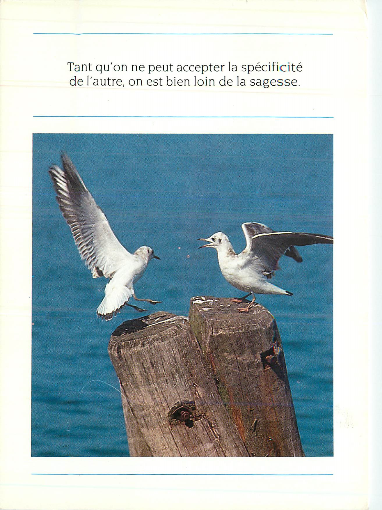 CPM Tant qu'on ne peut accepter la specificite de l'autre on est bien loin de la sagesse